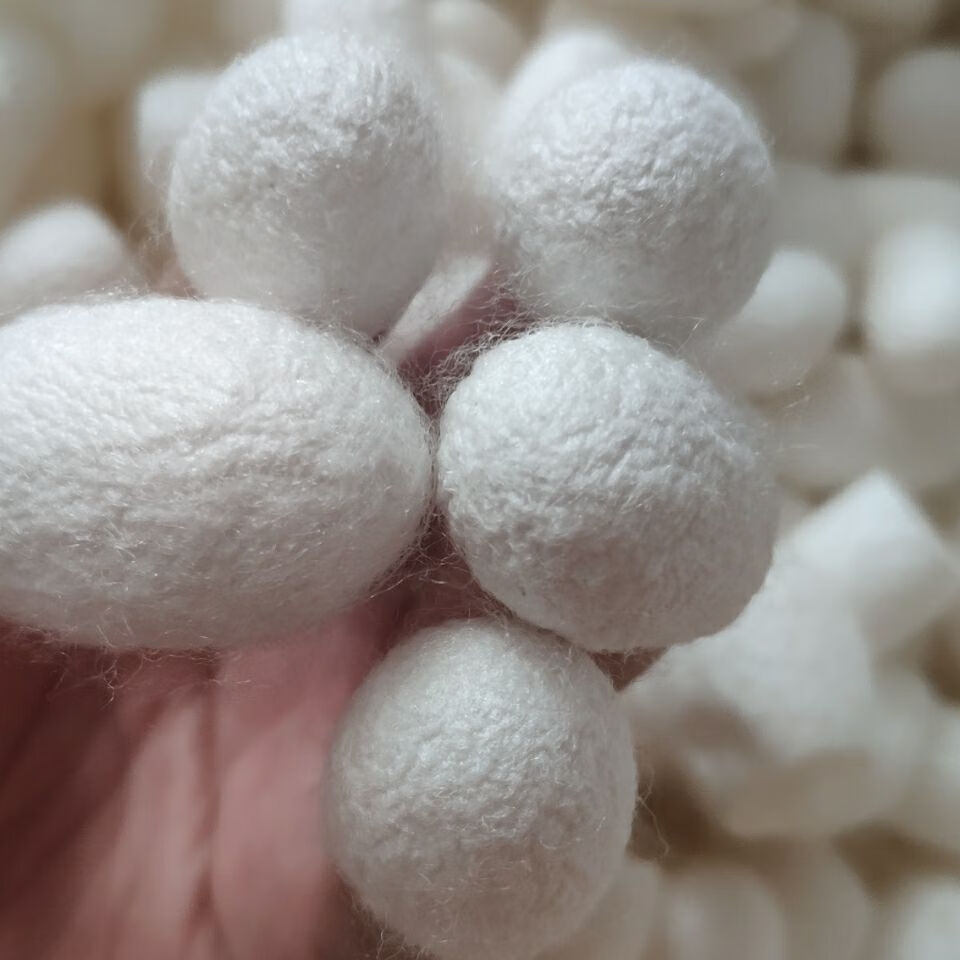 蚕茧天然蚕茧开口蚕茧壳一级蚕茧球开口120只装