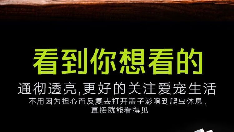 4，寵以沫【甄選廠家】爬寵飼養盒蝸牛蜘蛛角蛙烏龜樹棲躲避兩棲爬蟲飼養箱 爬寵飼養箱小號透黑