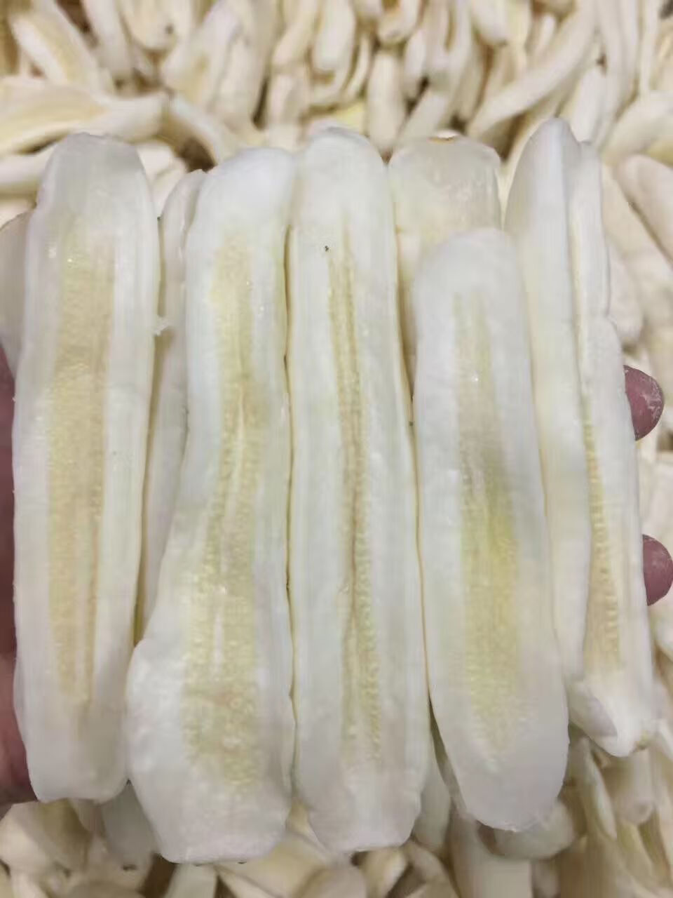 晨臻 茂名特产沙琅瓜咸农家自制白瓜咸田瓜咸黄瓜咸青瓜咸白瓜干瓜咸