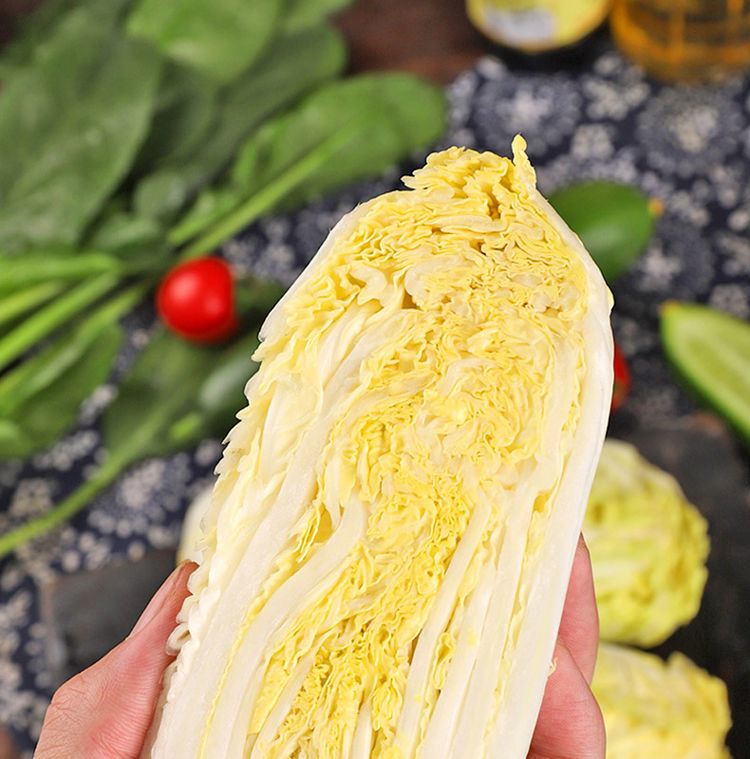 超低价现新鲜黄心娃娃菜小白菜精品蔬菜时令火锅菜小娃娃菜商超品质3