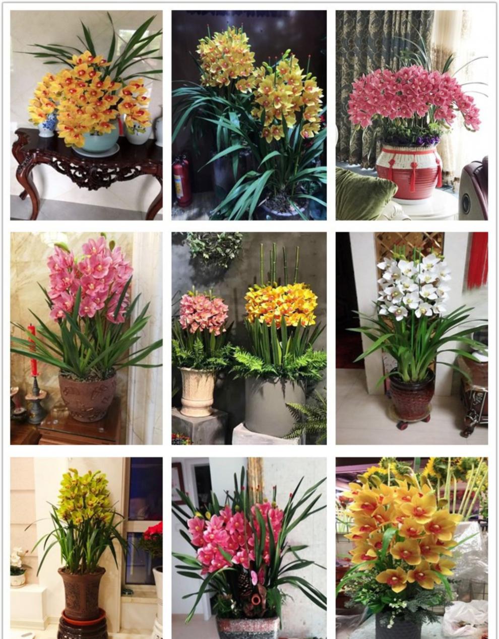 仿真兰花单支单支摆花蝴蝶兰假花仿真花兰花蕙兰客厅装饰大花束盆景