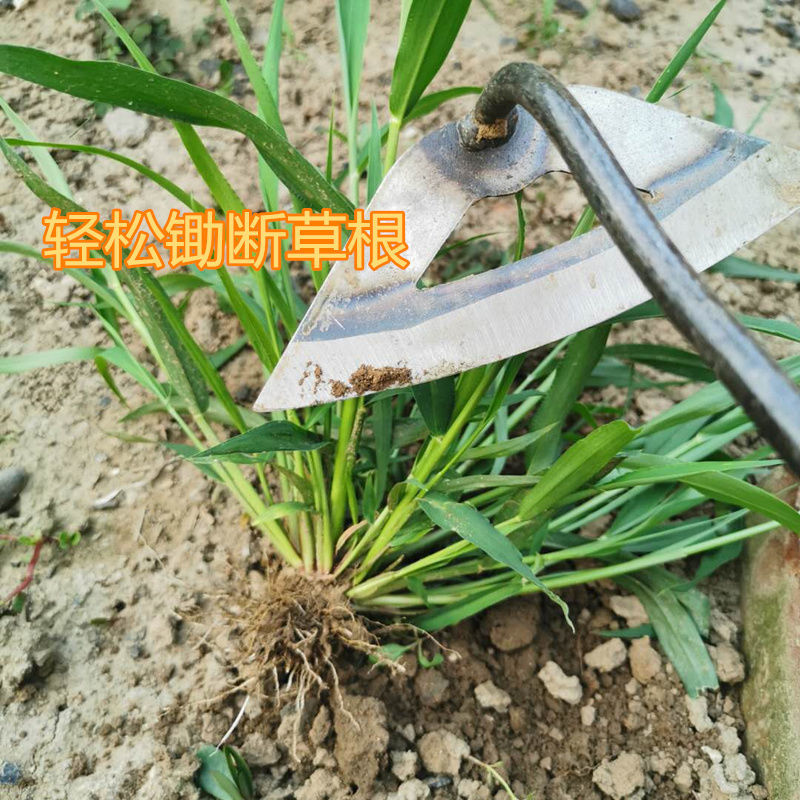 锄头铲草除草小锄头锰钢户外除草花园菜园空心实心手握锄锐衡小方锄