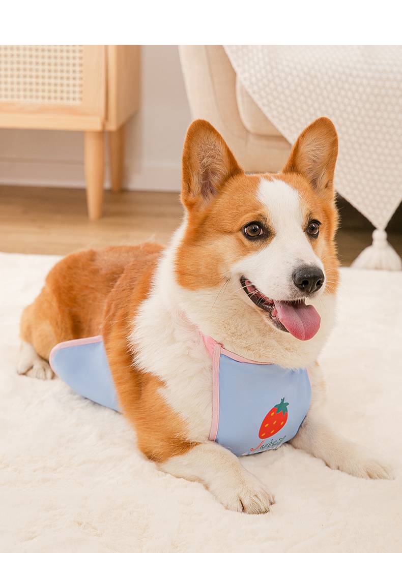 狗狗肚兜夏季 柯基犬肚兜升级版宠物护肚子衣服狗狗防水雨衣防脏防