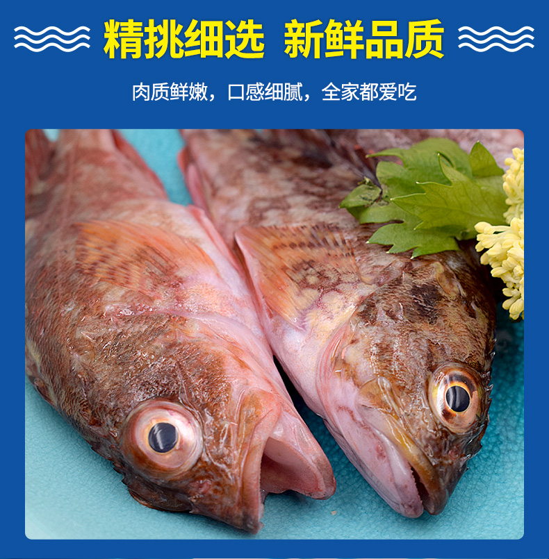 亚又婧舟山新鲜小虎头鱼1斤石翁鱼石斑鱼狗公鱼虎头斑