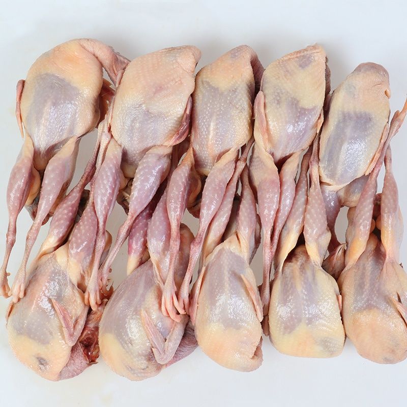 鹌鹑新鲜冷冻母鹌鹑速冻白条鹌鹑烧烤油炸鹌鹑肉现杀10只2225斤10只包