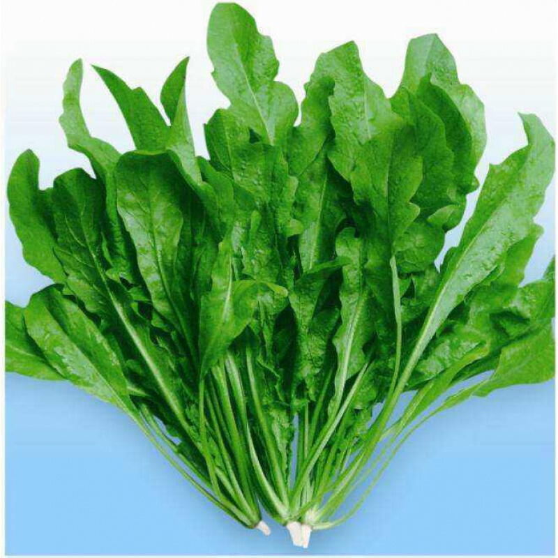 崇明野生荠菜新鲜现挖绿色蔬菜500克 非冷冻【图片 价格 品牌 报价】