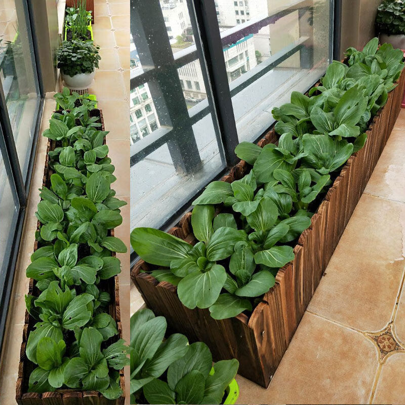 养花木箱原木色花箱碳化实木阳台种菜种花防腐庭院天台种植花盆特大长