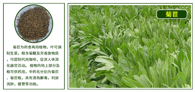 0kg店铺:绍涵园艺专营店商品编号:10034947069361商品名称:千特牧草