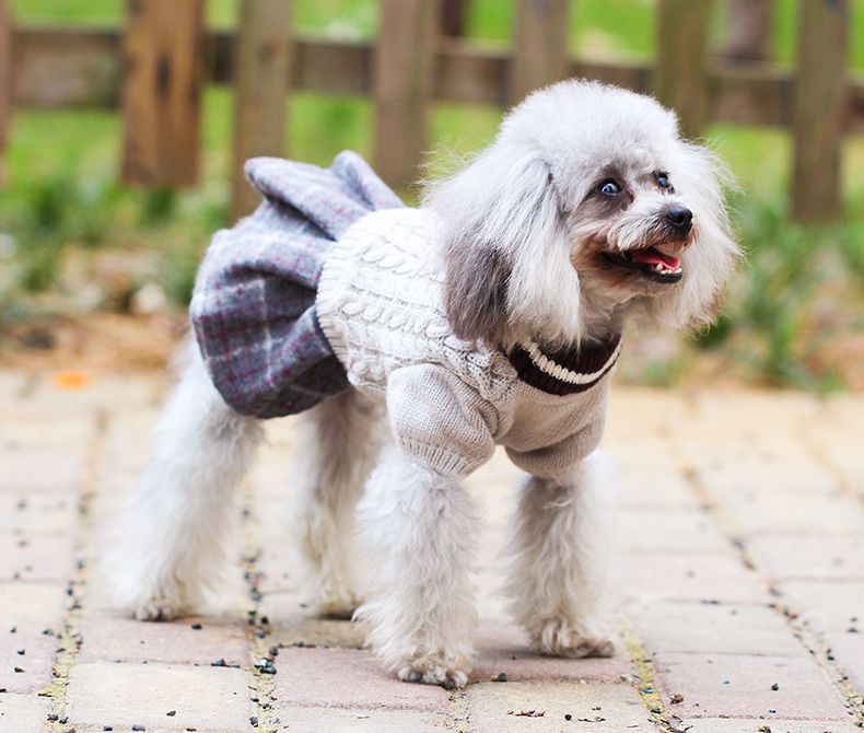 狗狗衣服秋冬裝泰迪比熊博美法鬥柯基小奶狗寵物小型犬中型犬毛衣益萌