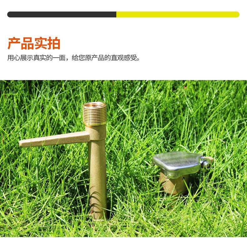 花园自来水地插快接全铜6分取水器快速取水阀插杆草坪园林绿化水管地