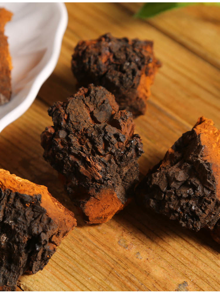 官方旗舰桦树茸俄罗斯桦褐孔菌白桦树茸茶铁桦树精选核桃块桦树茸可