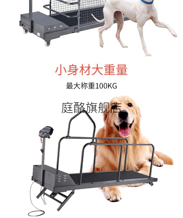 新款宠物跑步机家用宠物训练大型犬用狗狗跑步机格力惠比特细狗犬用