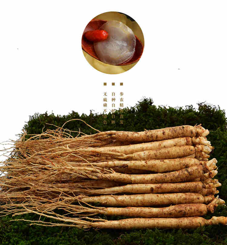 草参吉林人参鲜人参小人参小鲜参园参东北长白山土煲汤泡酒水人参 百