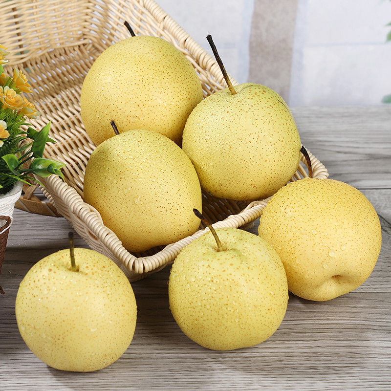正宗雪梨河北雪花梨梨子批发10斤冰糖雪梨新鲜水果净重中大果5斤