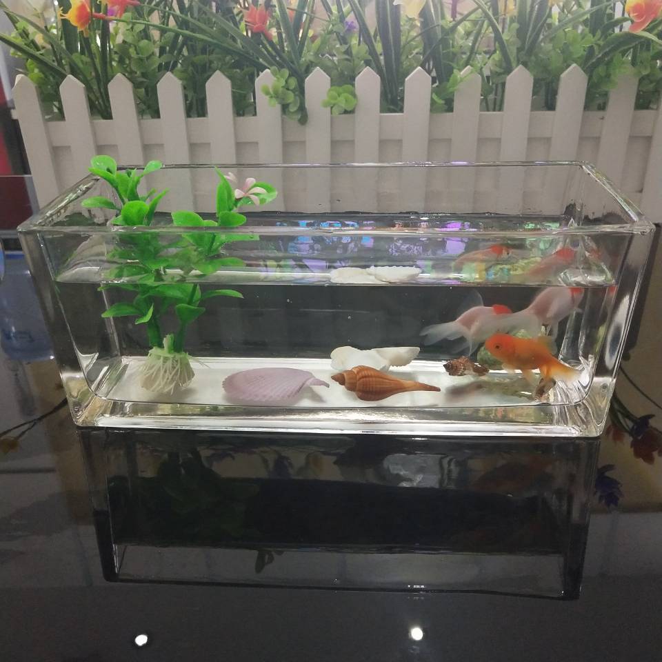 方缸水培植物养金鱼缸小型桌面观赏小鱼缸 30厘米椭圆形(裸缸)【图片
