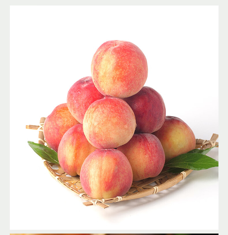 春光岛山东正宗金秋蜜桃【现摘现发】金秋红蜜桃脆甜秋毛桃艳红冬桃