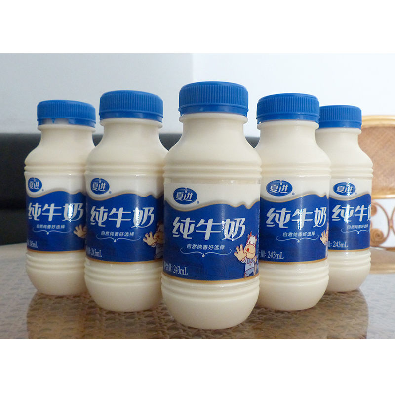 243ml瓶装纯牛奶10 实惠装营养早餐 243ml纯牛奶10瓶装 营养早餐