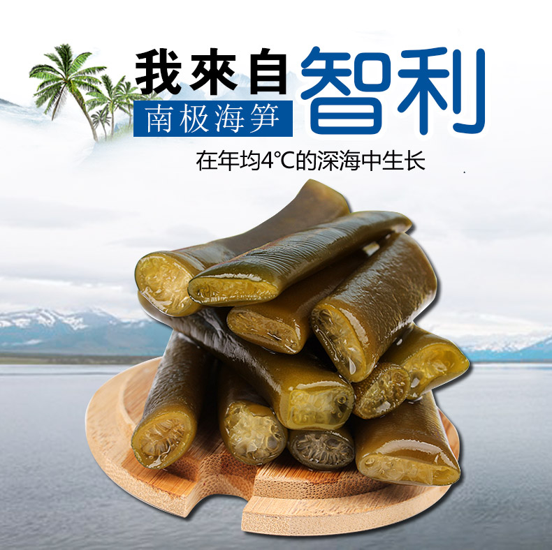 海茸南极海笋丝素食海藻冰笋干货250g海产品凉拌菜条酒店批发