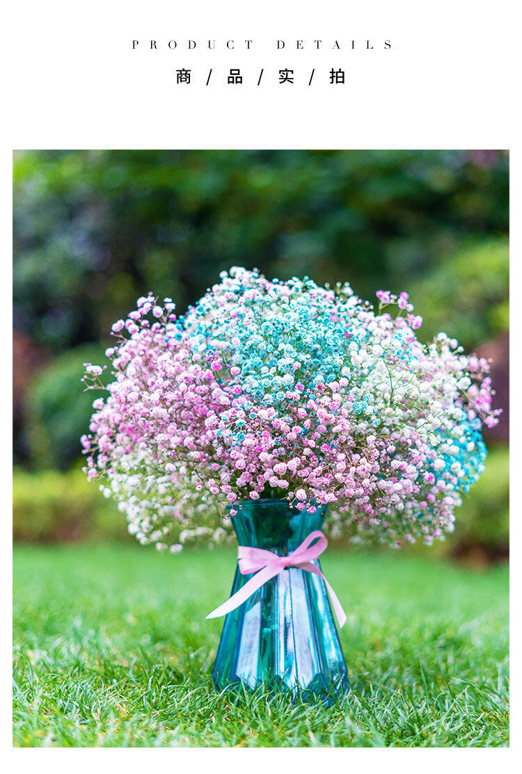 齐洁多色满天星干花花束真花花瓶勿忘我批发永生花卉客厅装饰品摆件