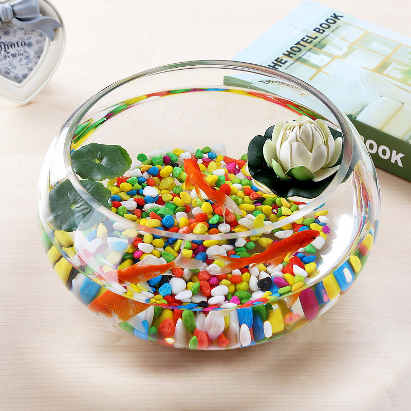 水缸养鱼玻璃加厚大号透明带爪金鱼缸乌龟缸办公室客厅桌面绿萝缸25圆