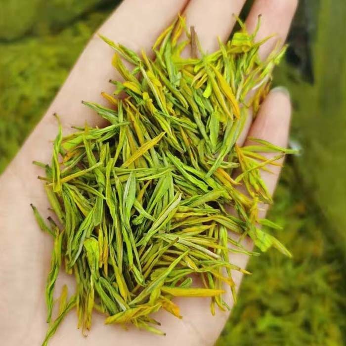 黄金芽2022年新茶安吉正宗白茶一芽两叶一叶浙江安吉产地溪龙浓香250g