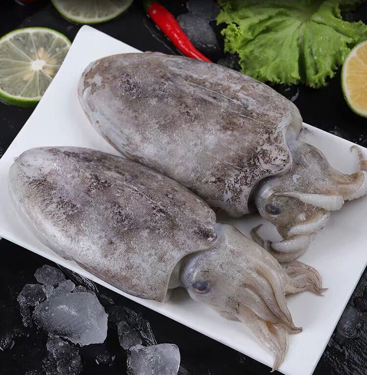 棠鲜生 新鲜墨鱼鲜冻大乌贼大墨鱼大鲜墨鱼墨斗鱼 10斤