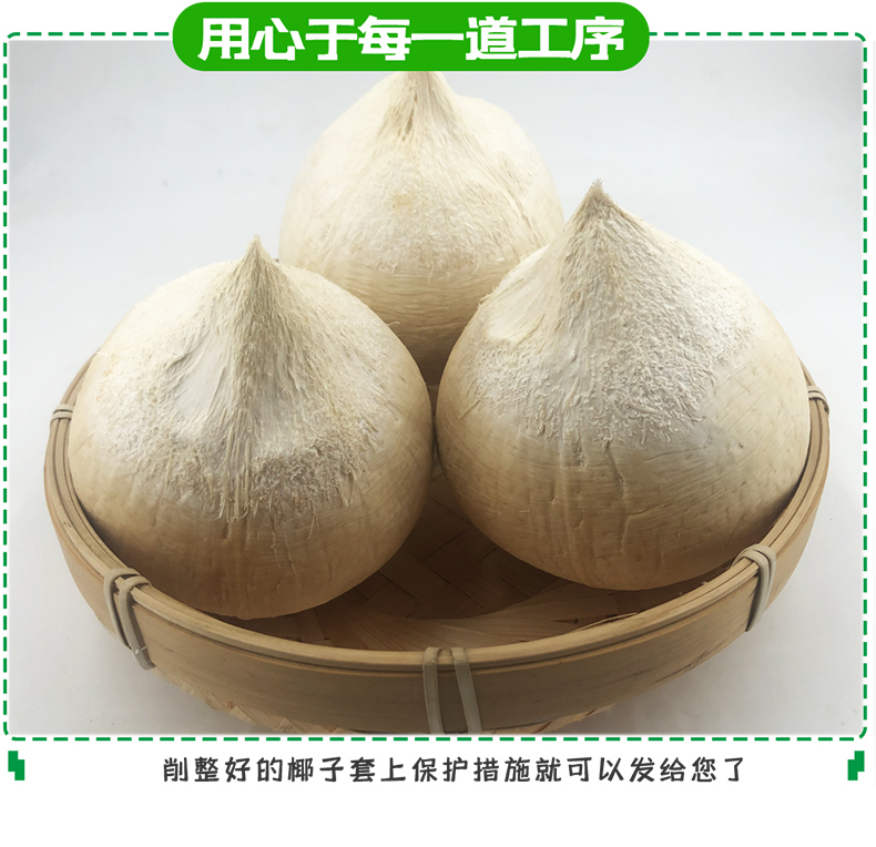 顺丰速运海南牛奶香椰子小奶椰热带椰子奶香浓郁新鲜采摘甘甜爽口精选