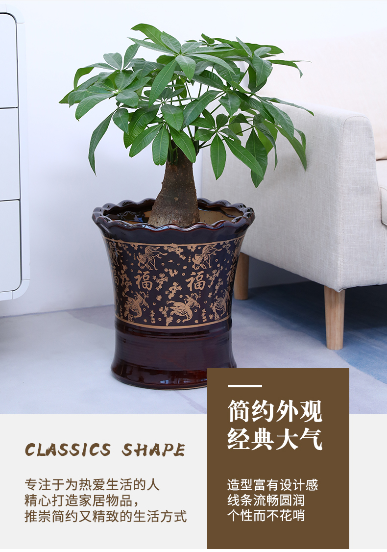 中号特大号中国风落地种金钱树大花盆 白色金鱼福 中等【图片 价格