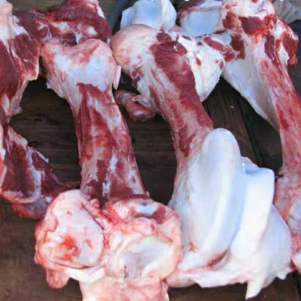 现宰现切黄牛牛棒骨牛骨髓牛骨头切块炖汤食材罗莫利得牛棒骨5斤装