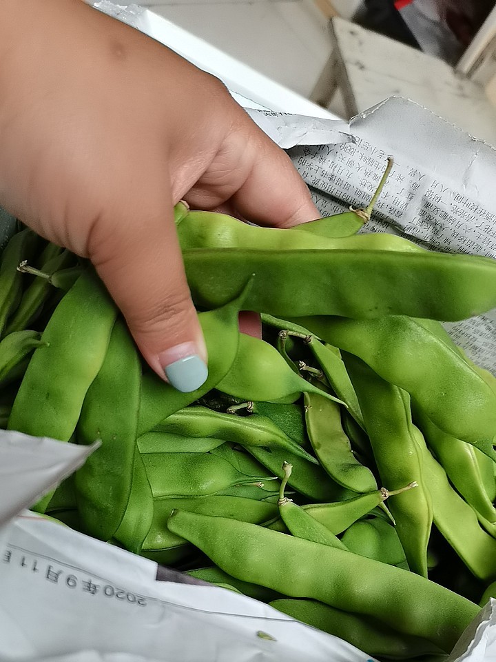 油豆角 正宗东北油豆角新鲜嫩蔬菜黑龙江大豆角宽豆角5斤顺丰 2500g