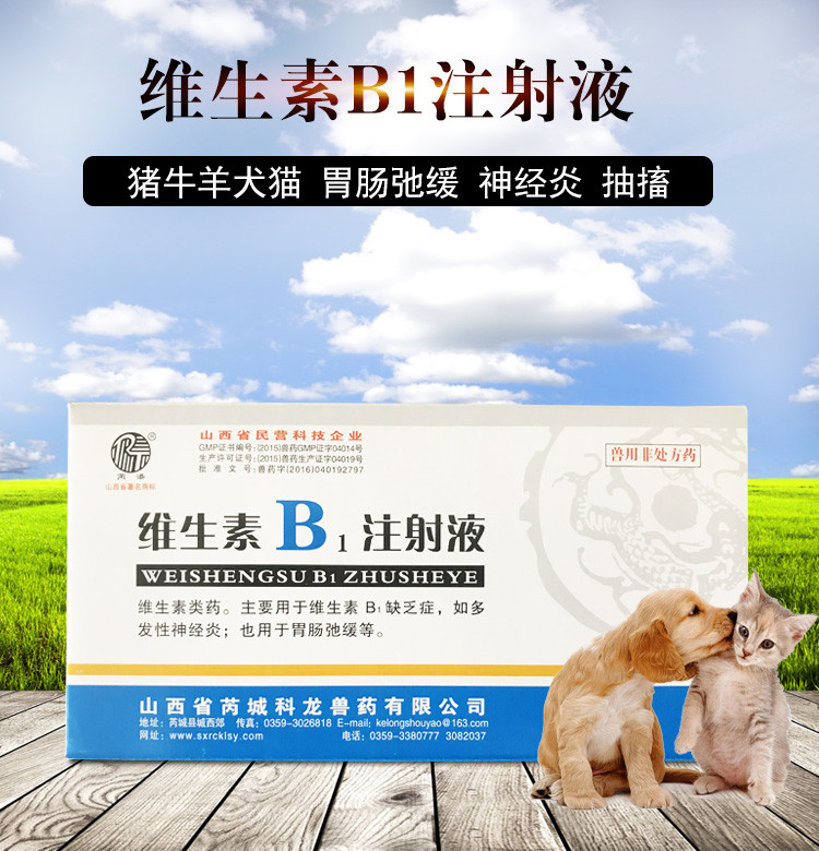 獸用豬維生素b1注射液vb1針劑貓狗神經炎心肌炎消化不良胃腸遲緩