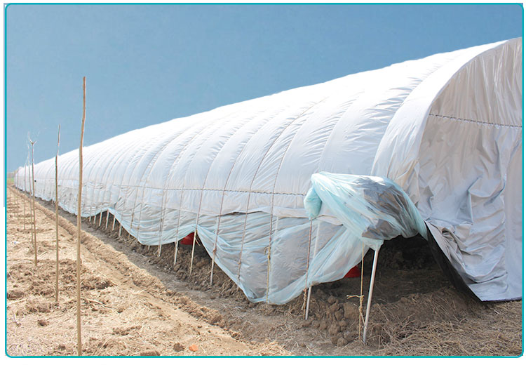 青储青贮黑白膜养鸡养殖遮光隔热反光大棚膜食用菌菇棚膜抗老化黑白膜