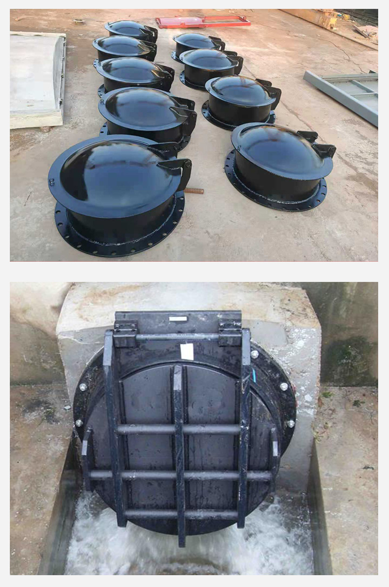 铸铁拍门钢制拍门玻璃钢拍门防倒灌拍门塑料不锈钢拍门浮箱拍门 玻璃