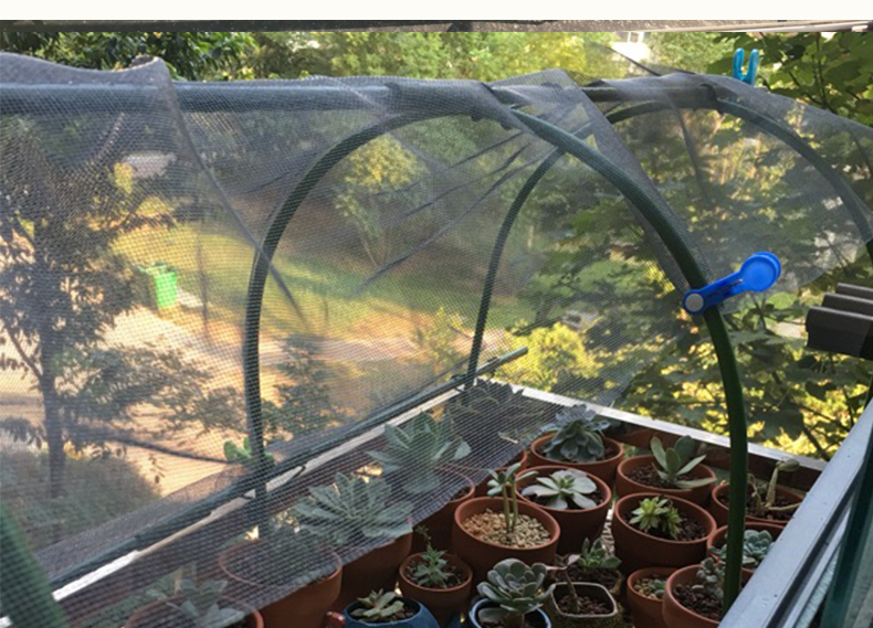 多肉过冬用花棚暖房阳台植物遮阳花架家用小型养花防冻防晒花棚科威顿