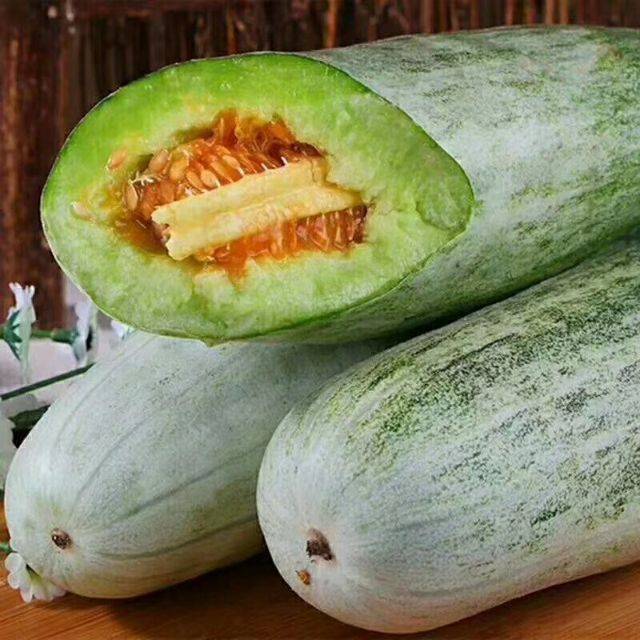山东正宗博洋9号头茬甜瓜现摘现发羊角蜜脆甜多汁香当季新鲜水果 精选
