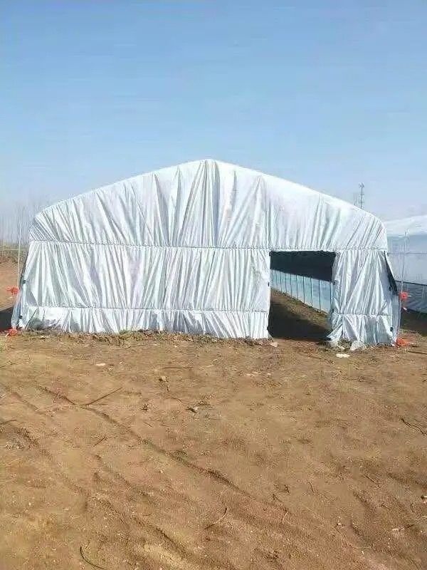 黑白膜大棚黑白膜大棚养殖塑料膜养殖加厚专用膜鸡鸭猪棚防晒隔热农膜