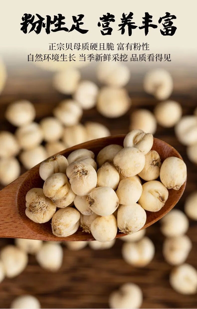 小川贝母粒野生一级无硫新鲜川贝浙贝100g干货同仁品质 官方直营