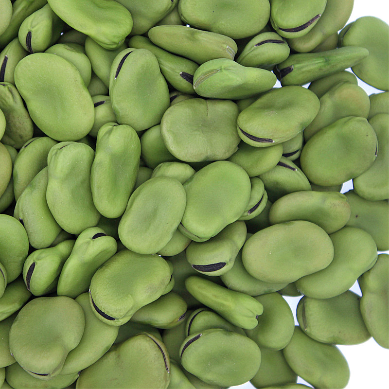 精选早熟蚕豆种子大粒罗汉豆农家胡豆高产大荚福豆大田四季播种籽 黄