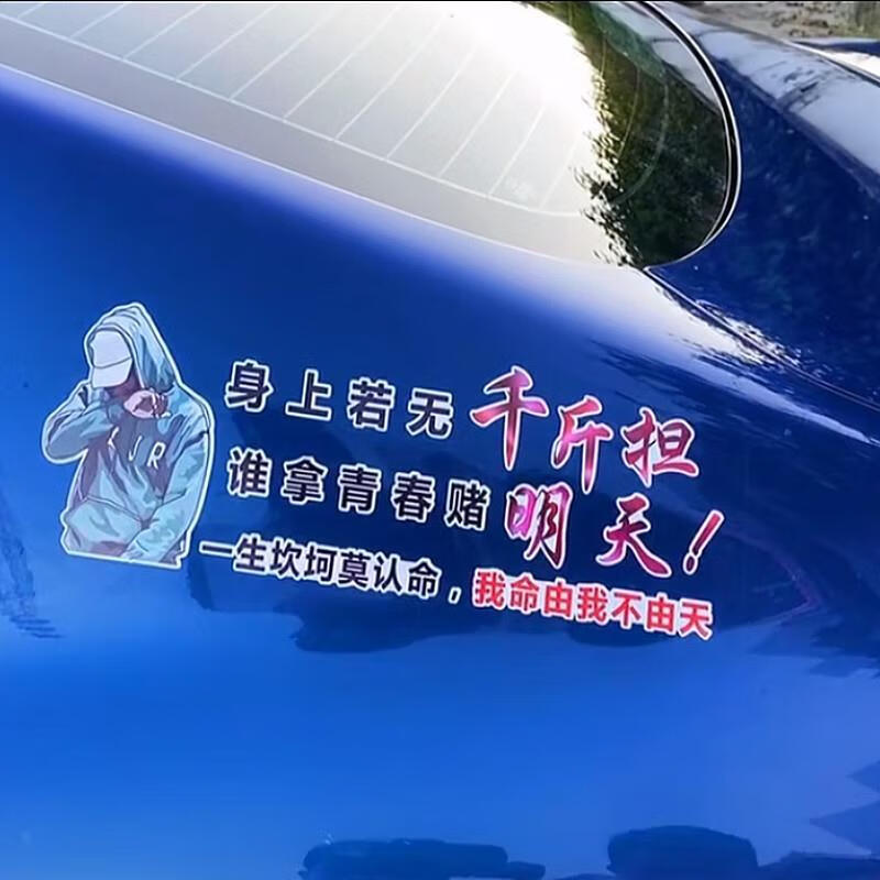 仓梵身上若无千斤担谁拿青春赌明天车贴我命由我不由天汽车贴纸 70