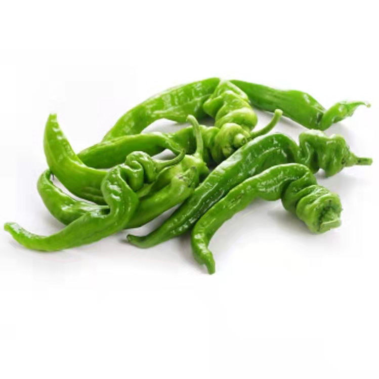 现摘新鲜辣椒微中辣螺丝椒批发青椒特辣薄皮青尖椒皱皮椒线椒蔬菜螺丝