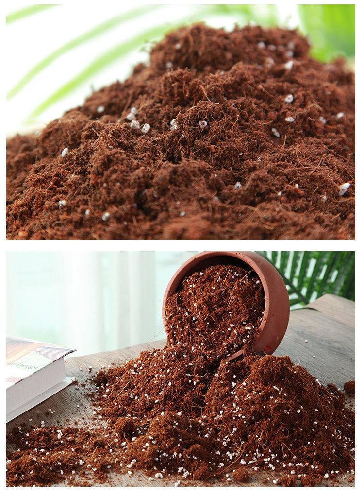 沙漠玫瑰专用土5kg 沙漠玫瑰专用营养土通用型家用种植酸性土肥料