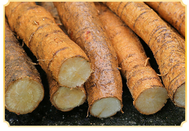 牛大力根鲜条牛大力薯金钟根新鲜中药材滋补煲汤料泡酒金钟根 特大牛