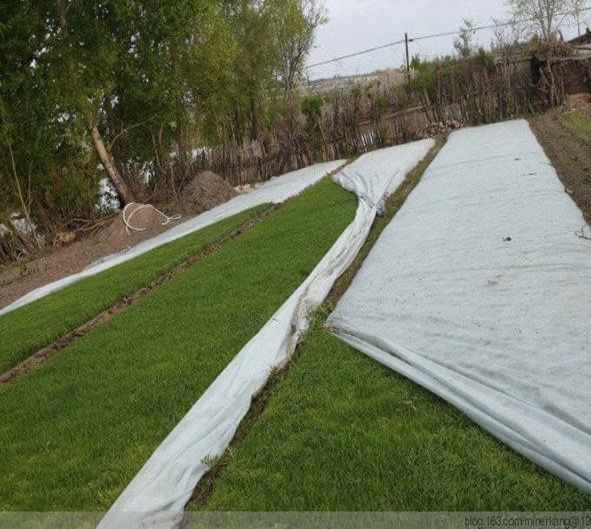 水稻育秧布农用无纺布花草树育苗抗老化土工布薄膜地膜透气懒汉膜囧仙