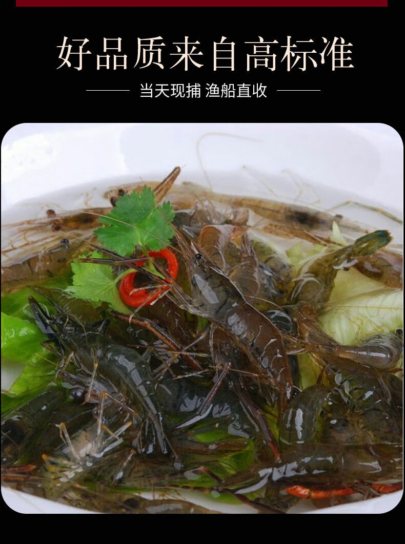 淡水小河蝦冷凍活體新鮮青蝦湖蝦水產急凍小草蝦醉蝦淨重六斤冷凍發貨