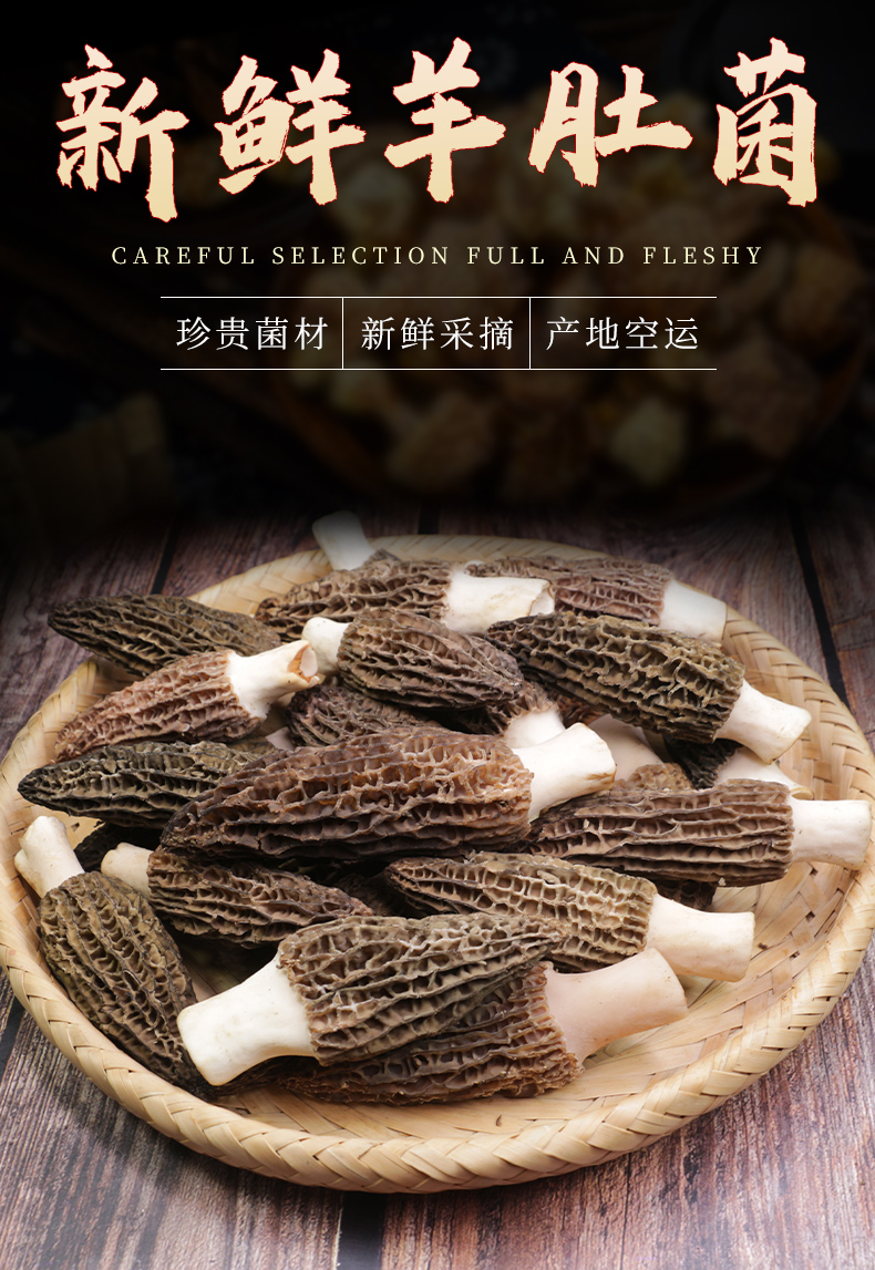 羊肚菌新鲜云南特产羊肚菌非干货羊肚菇蘑菇菌菇牛肚菌羊肝菌500g新鲜