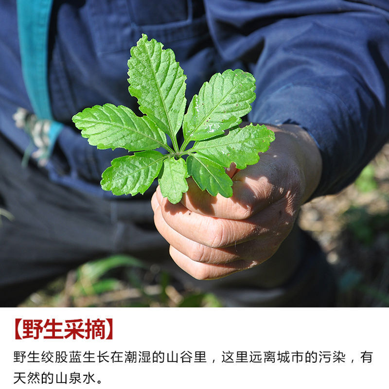 九叶蓝绞股蓝茶平利七叶绞股蓝龙须茶九叶蓝五叶陕西胶股蓝茶叶