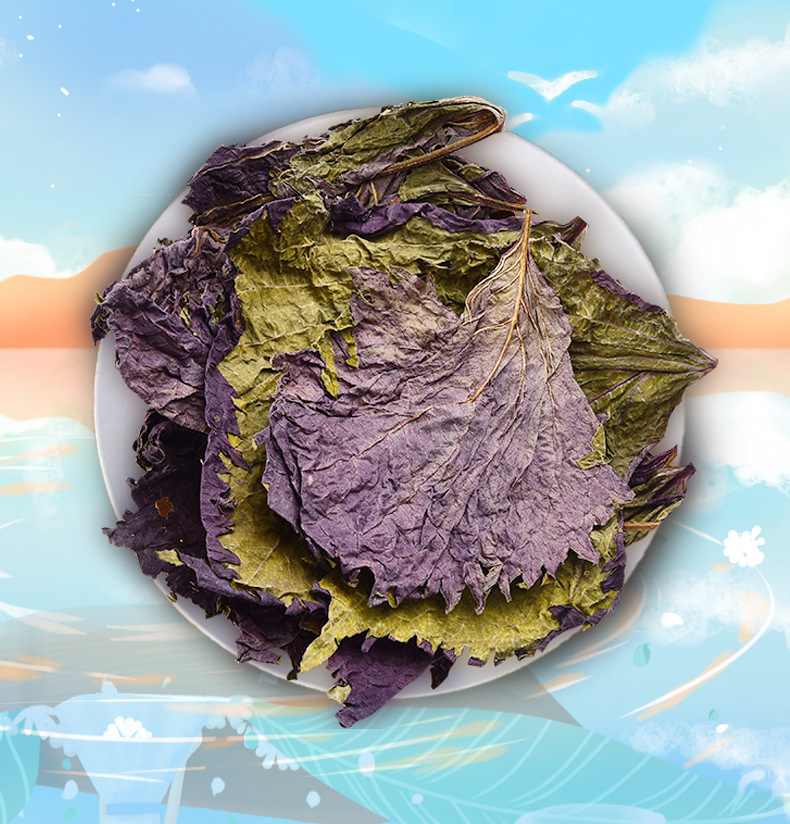 紫苏叶茶干紫苏籽子叶精选好货花草茶叶泡水可配搭云南紫苏叶中药茶粉