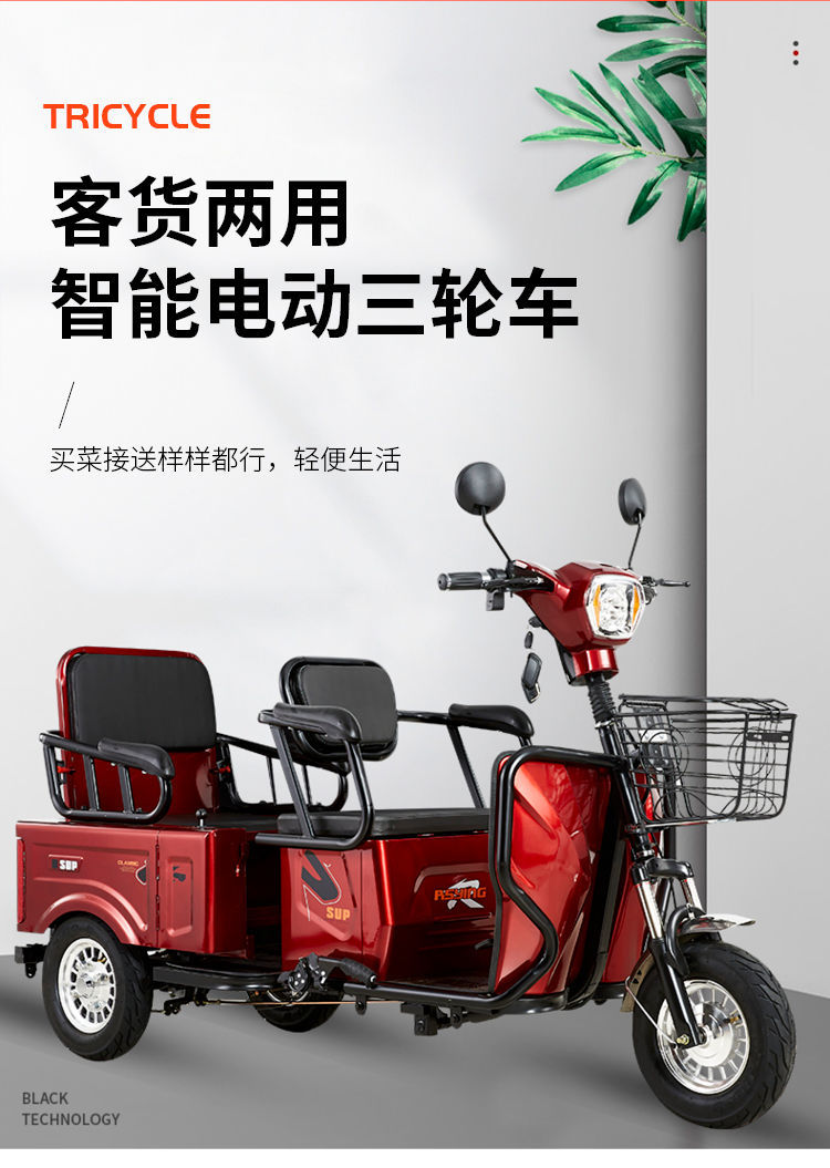 中老年代步电动车老头乐双排三轮家用大功率山区爬坡电瓶载重王老人