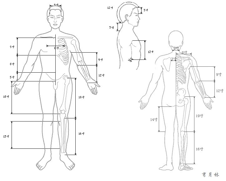 骨度分寸尺 穴位尺取穴尺 经络针灸测量工具针灸选点尺 弯月林 图片