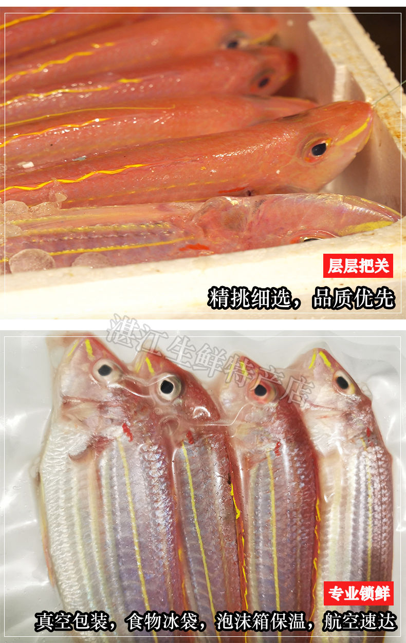 好物推荐鲜美惊湛江新鲜金线鱼海鲜水产海钓海鱼冷冻红杉鱼鲜活红三鱼